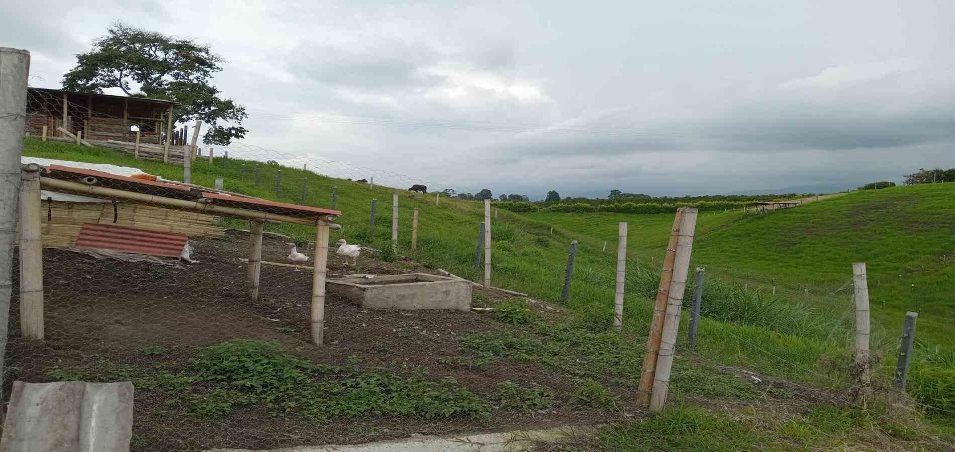 Foto de Finca para Venta en A dos cuadras del parque, Circasia - 279056832