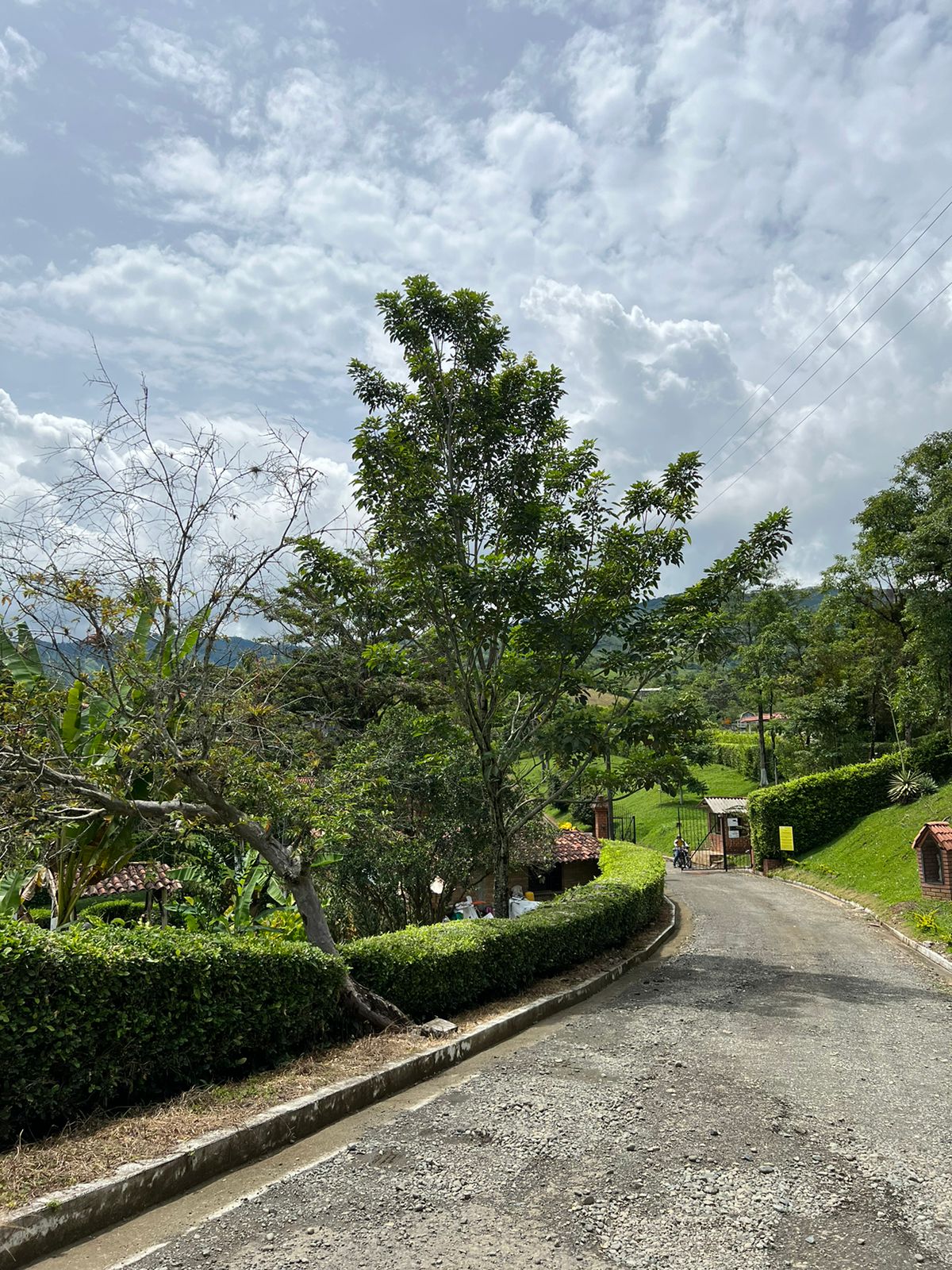 Foto de Lote / terreno en Venta en Condominio villas de acapulco , Viterbo - 1 - 279052657