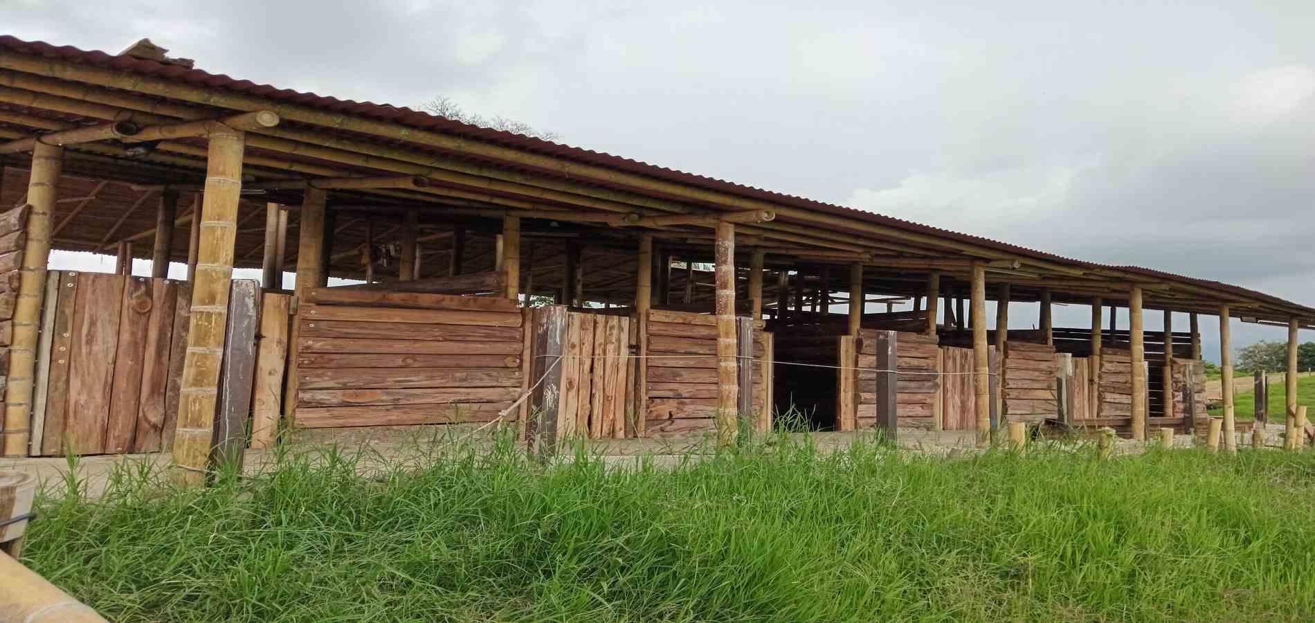 Foto de Finca en Venta en A dos cuadras del parque, Circasia - 2 - 279056832