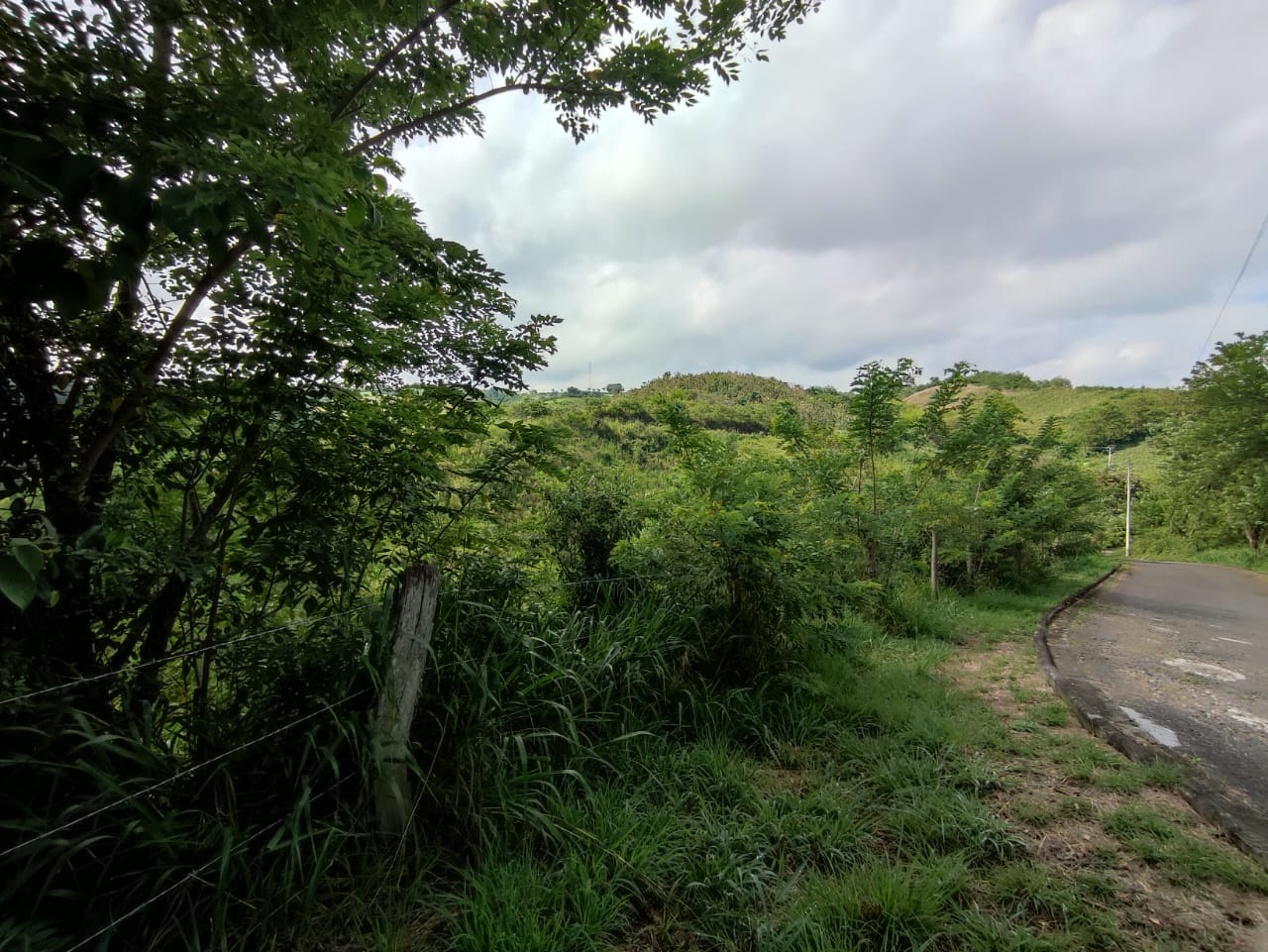 Foto de Lote / terreno en Venta en Cerritos, Pereira - 5 - 279063220