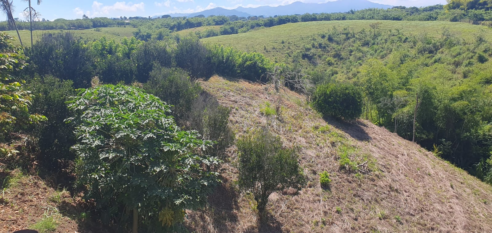 Foto de Lote / terreno en Venta en La virginia, Pereira - 3 - 279065492