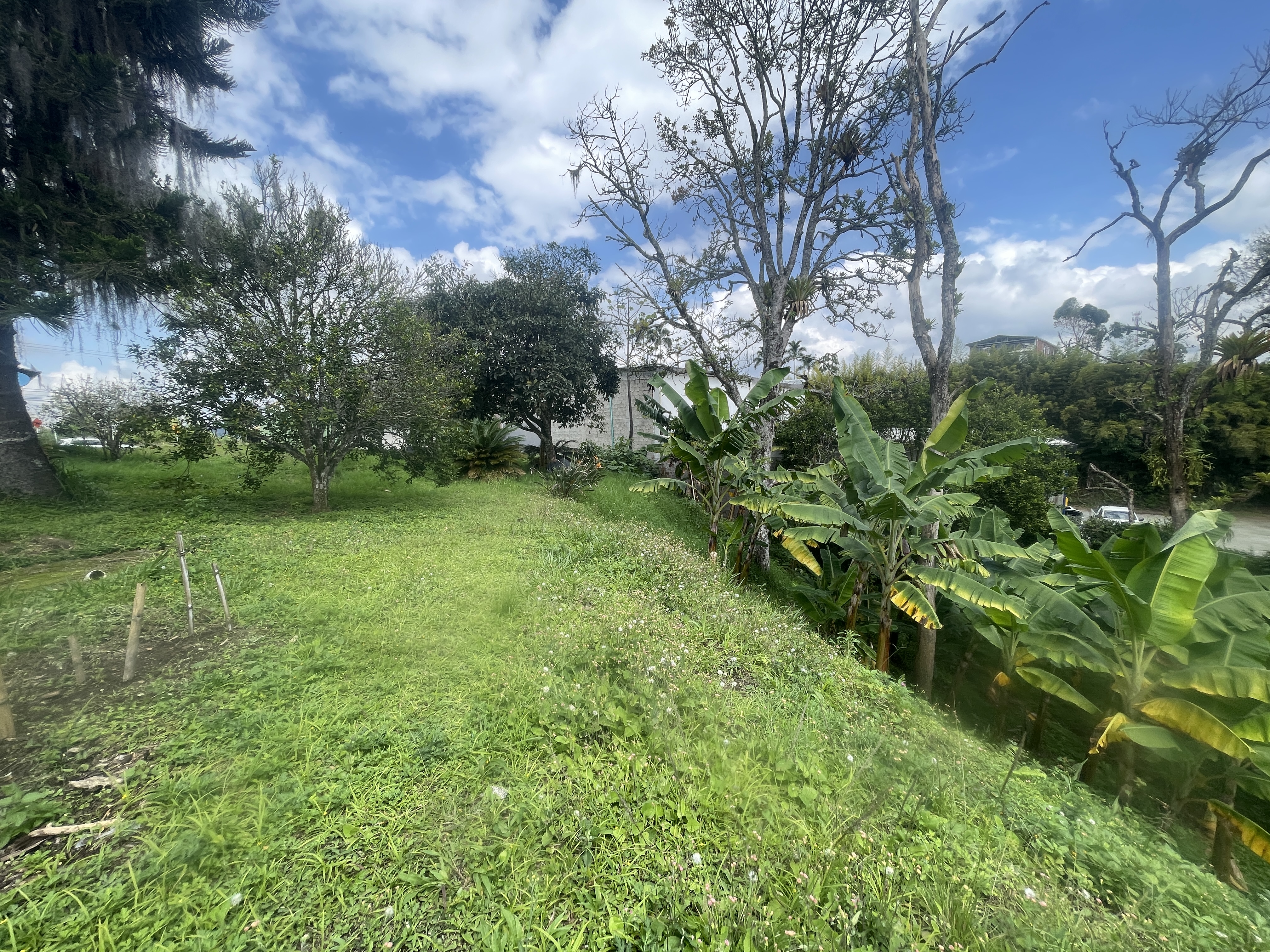 Foto de Lote / terreno en Venta en Av bolivar, Armenia  - 1 - 279065795