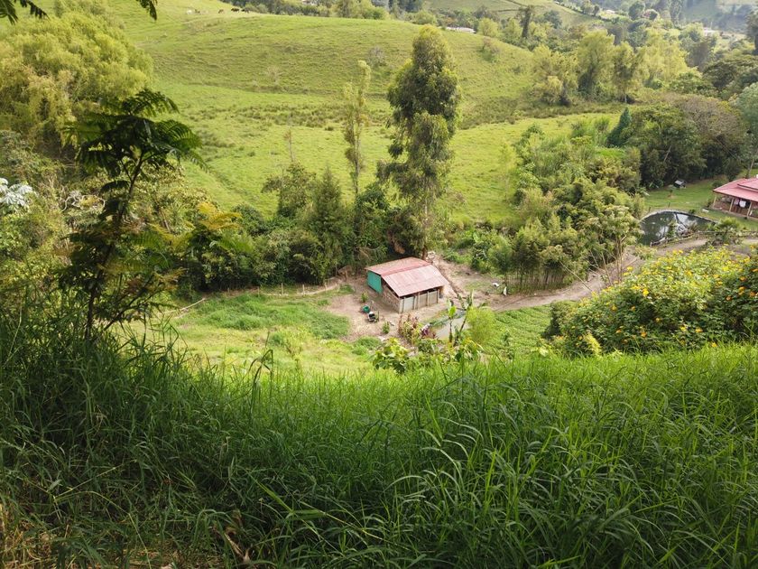 Foto de Lote / terreno en Venta en VillamarÍa, Villamaria - 12 - 279056144