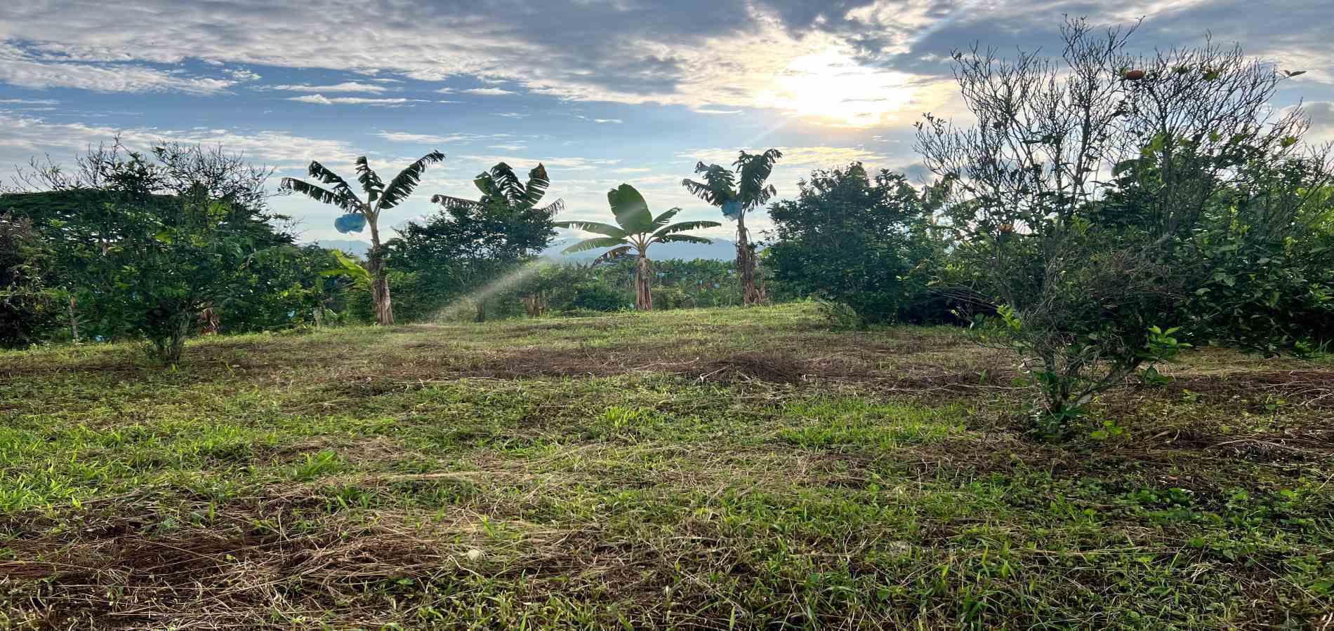 Foto de Lote / terreno en Venta en Armenia, Armenia  - 17 - 279067125