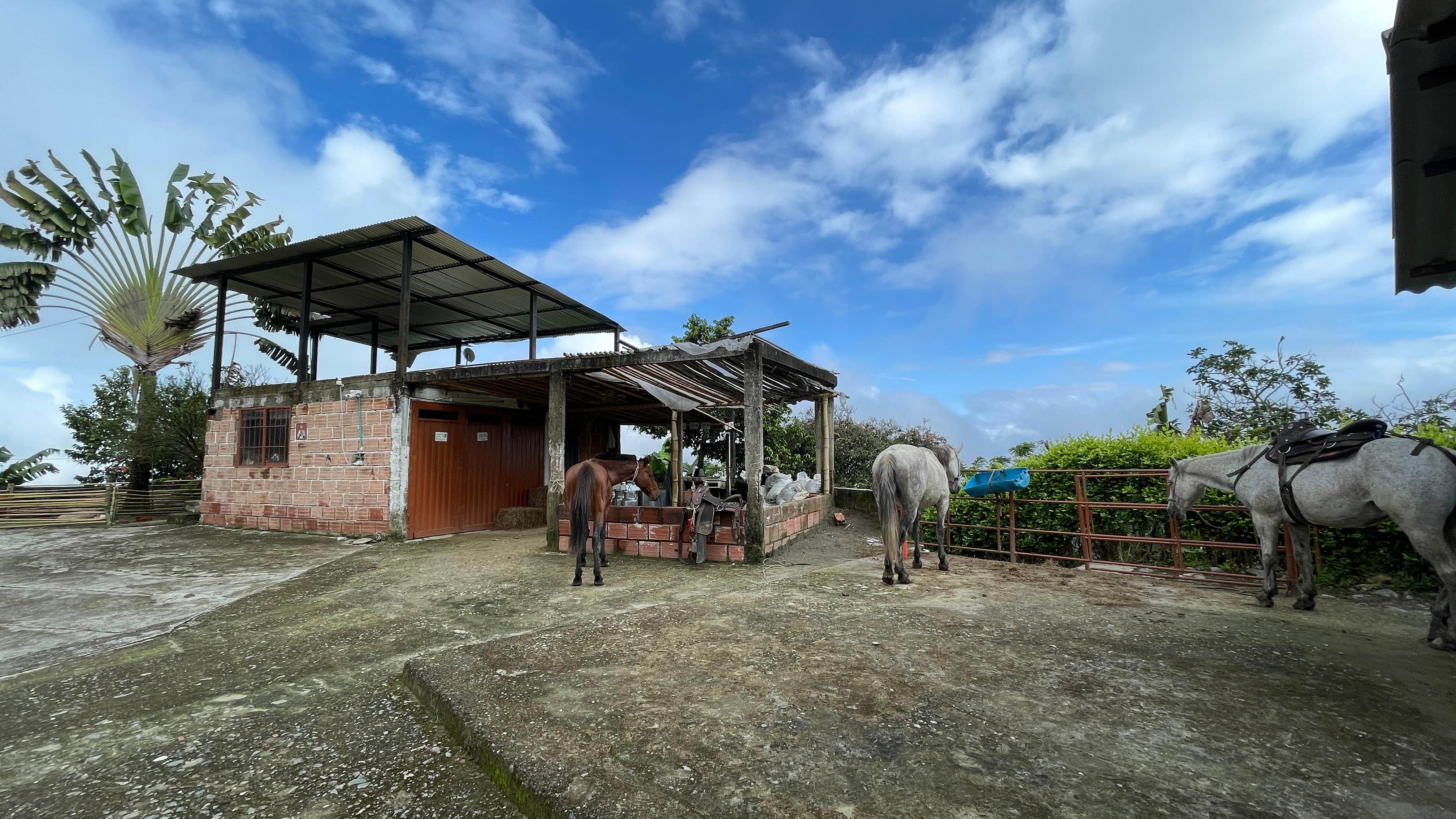Foto de Finca en Venta en La cabaña, Manizales - 27 - 279062726