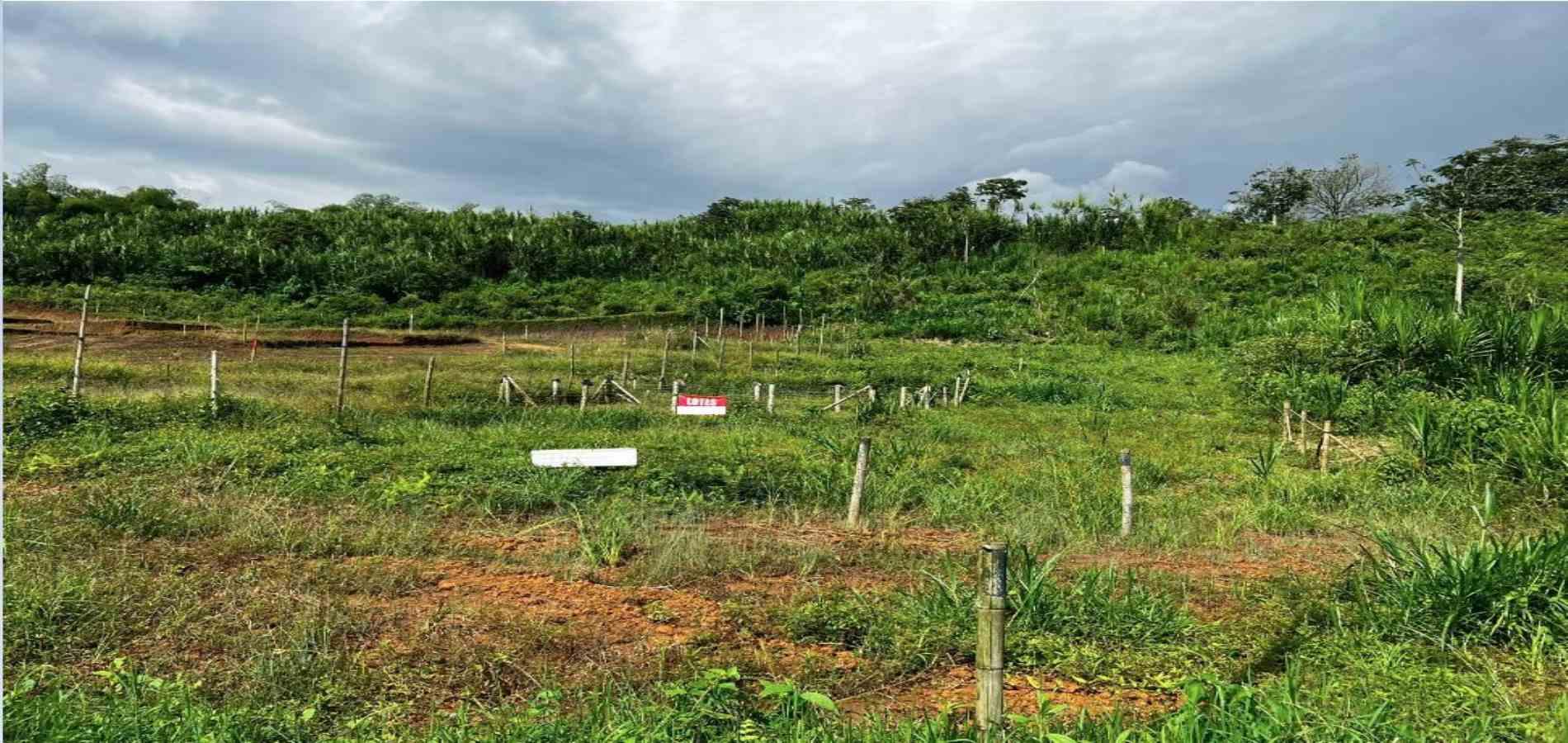 Foto de Lote / terreno en Venta en Bosques de la acuarela, Dosquebradas - 4 - 279057792