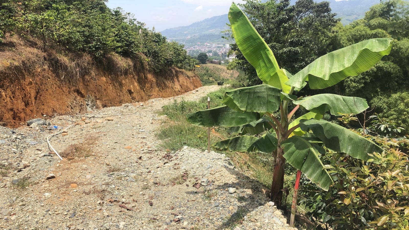Foto de Lote / terreno en Venta en Dosquebradas, Dosquebradas - 7 - 279053272
