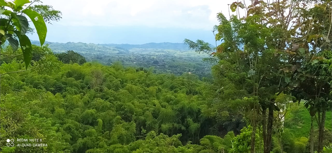 Foto de Lote / terreno en Venta en Altagracia, Pereira - 11 - 279057421
