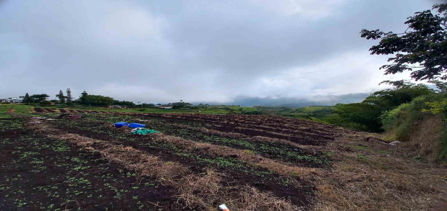 Foto de Lote / terreno en Venta en Vereda el lembo, Santa rosa de cabal - 11 - 279066290