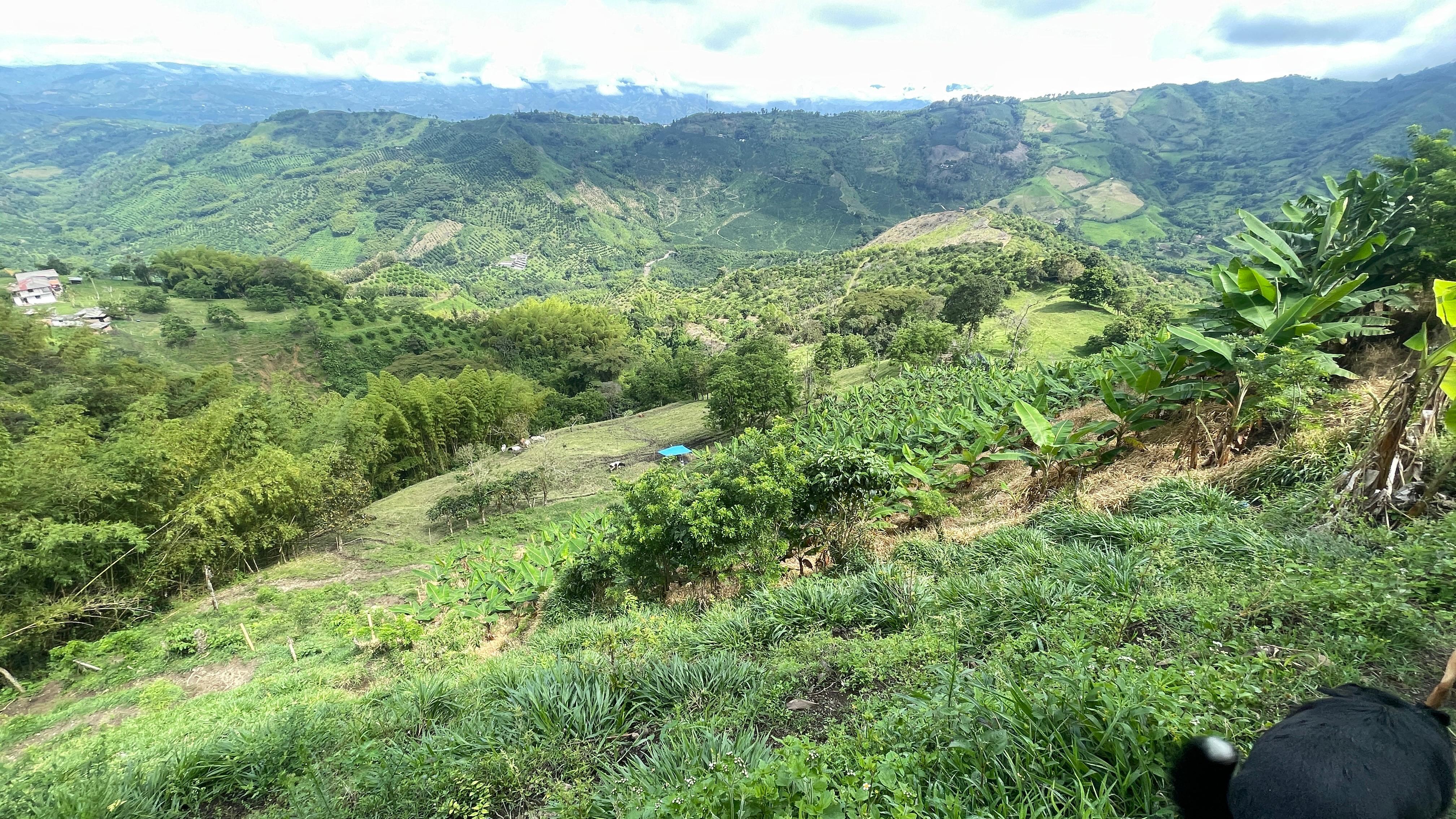 Foto de Finca en Venta en La cabaña, Manizales - 19 - 279062726