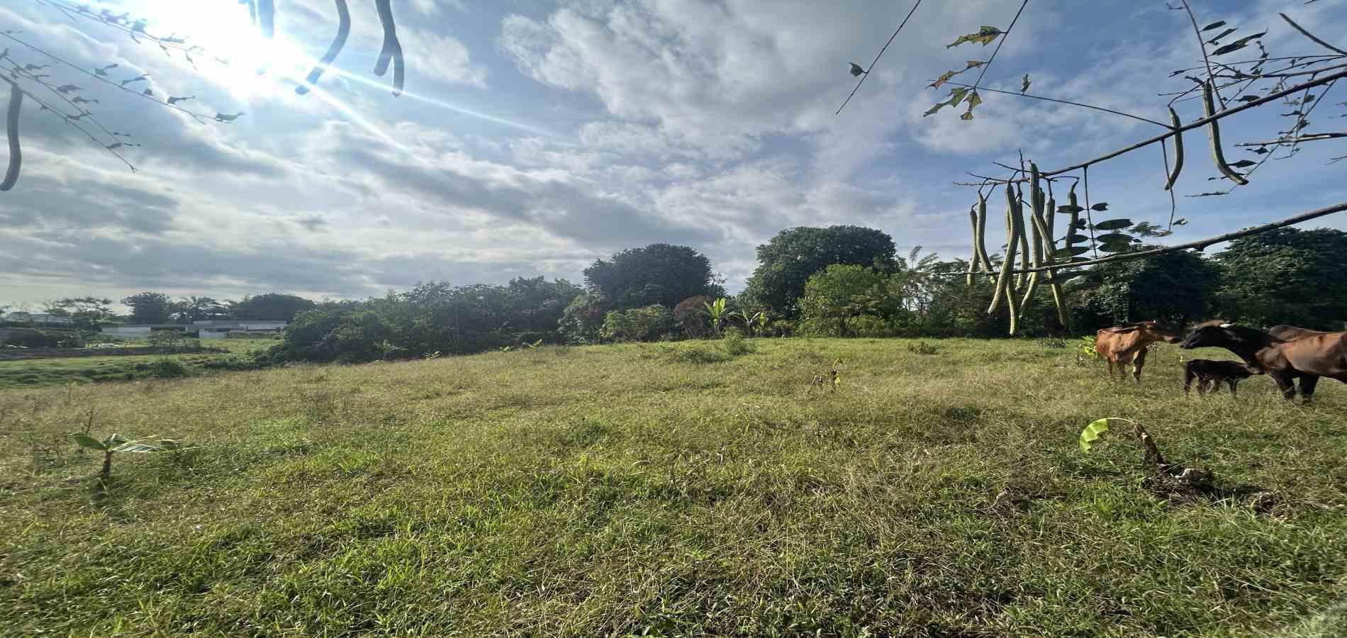 Foto de Lote / terreno en Venta en Cerritos / sector el tigre, Pereira - 8 - 279066751