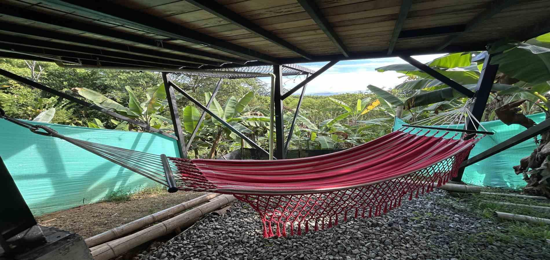 Foto de Casa campestre en Venta en La siria, Pereira - 15 - 279069267