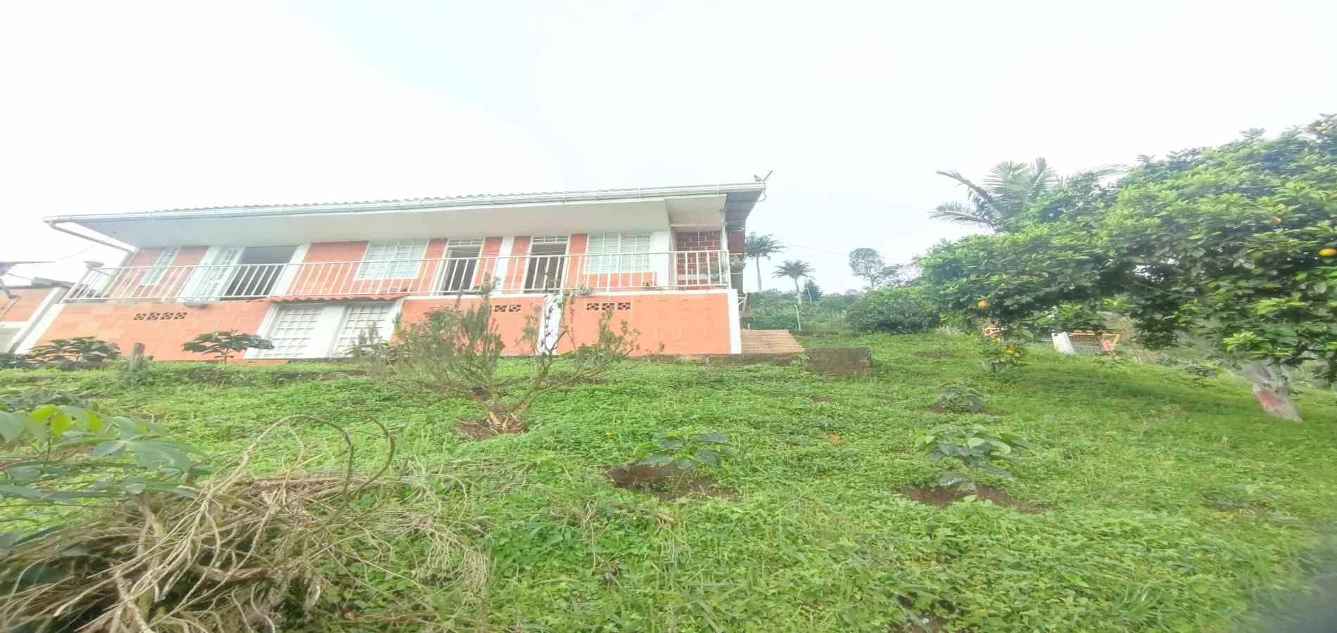 Foto de Finca en Venta en Vereda la independencia alto del nudo, Dosquebradas - 25 - 279065382