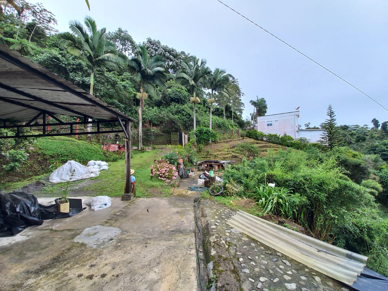 Foto de Finca en Venta en Vereda la esperanza, Manizales - 6 - 279012878