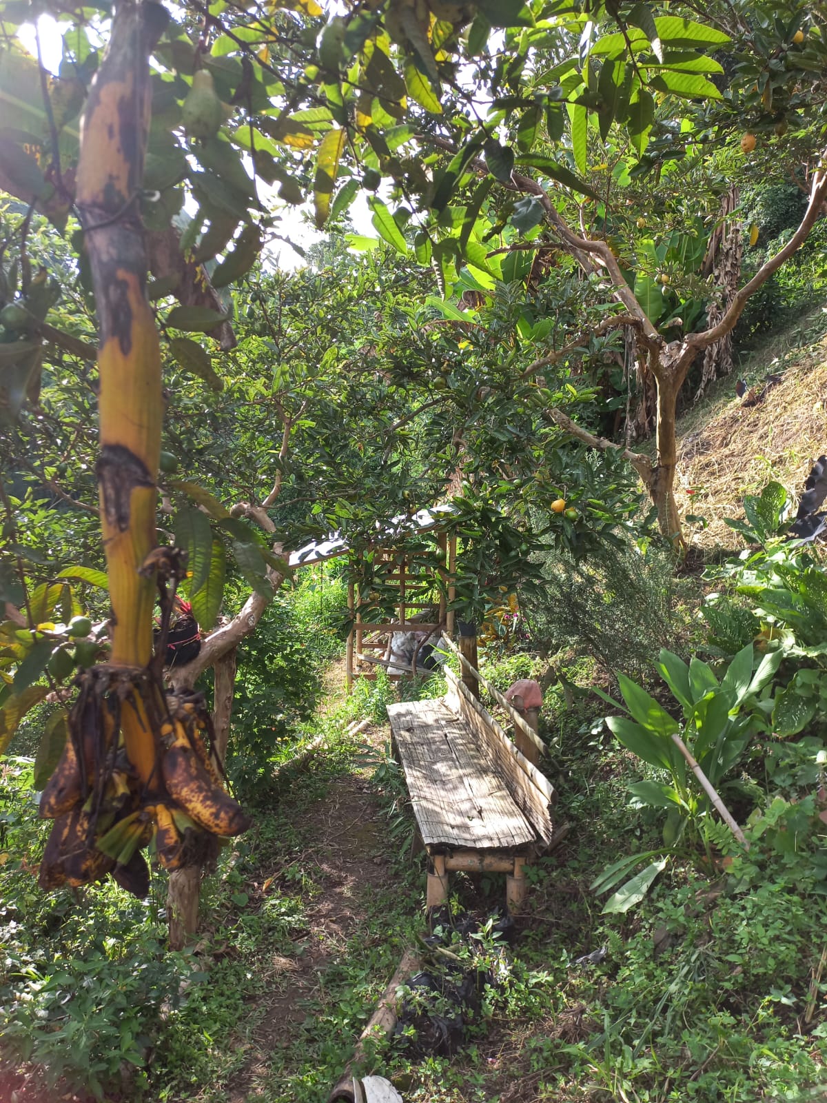 Foto de Lote / terreno en Venta en Vereda la trinidad, Manizales - 2 - 279053327