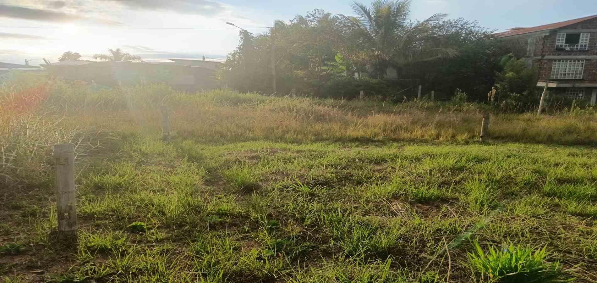Foto de Lote / terreno en Venta en Armenia, Armenia  - 11 - 279059322