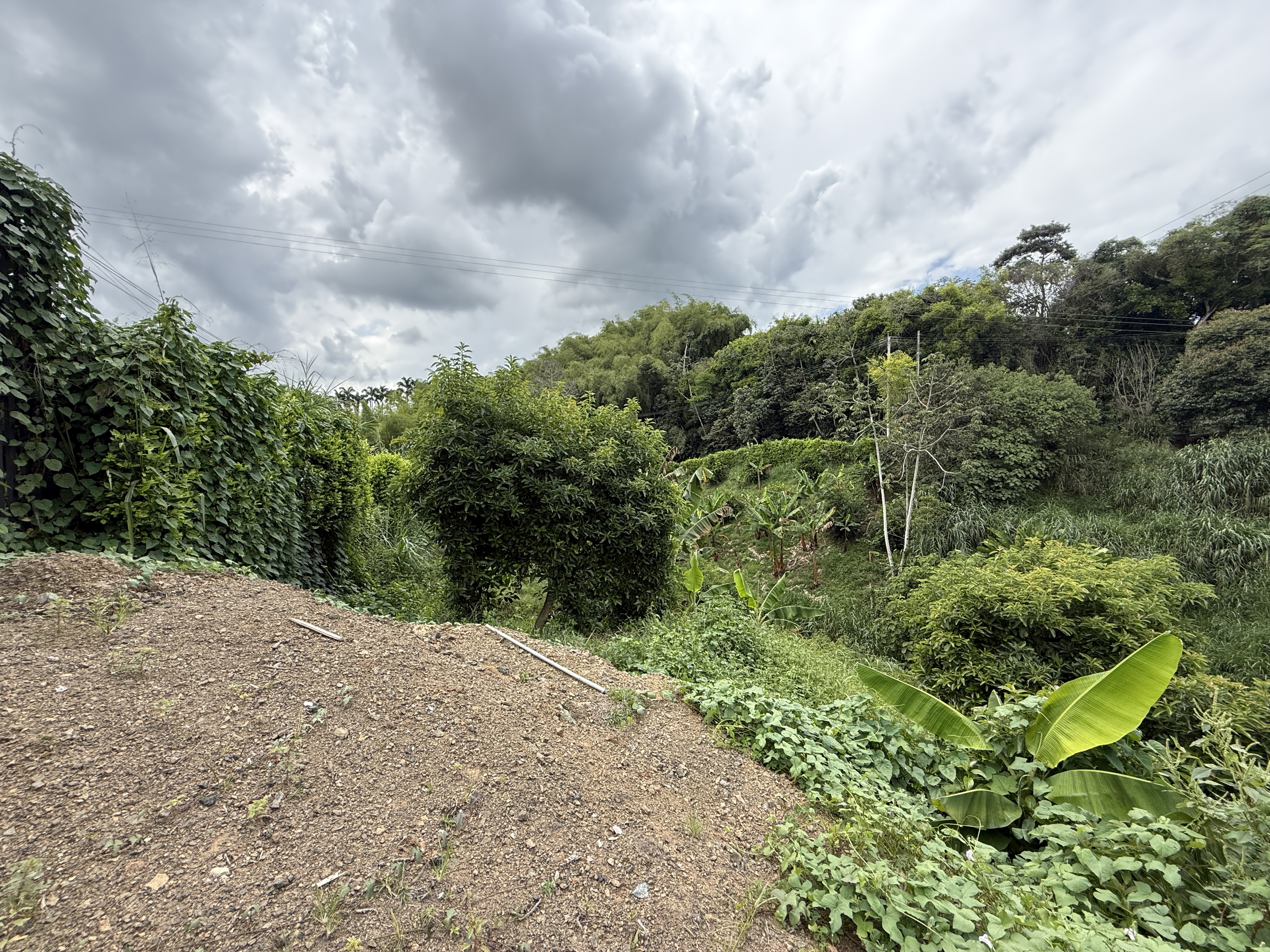 Foto de Lote / terreno en Venta en Cuba , Pereira - 8 - 279065163