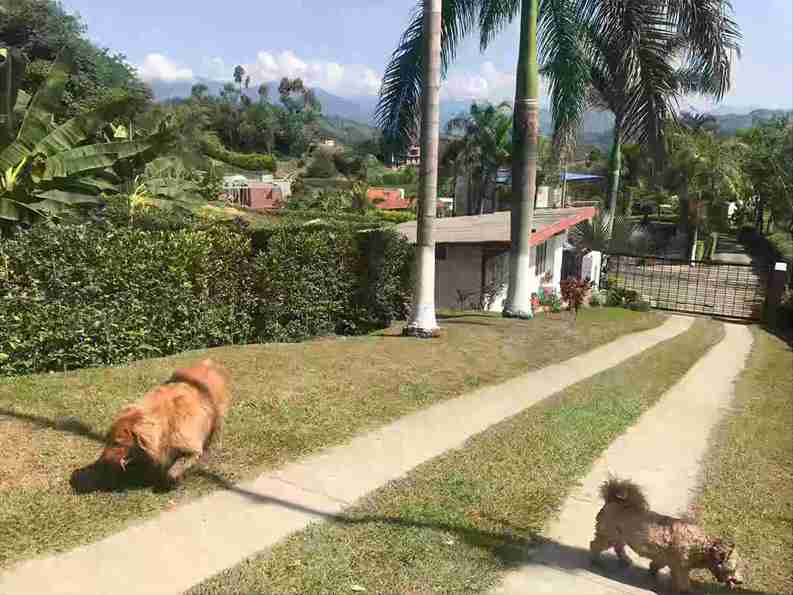 Foto de Casa campestre en Venta en Palermo, Manizales - 23 - 51526