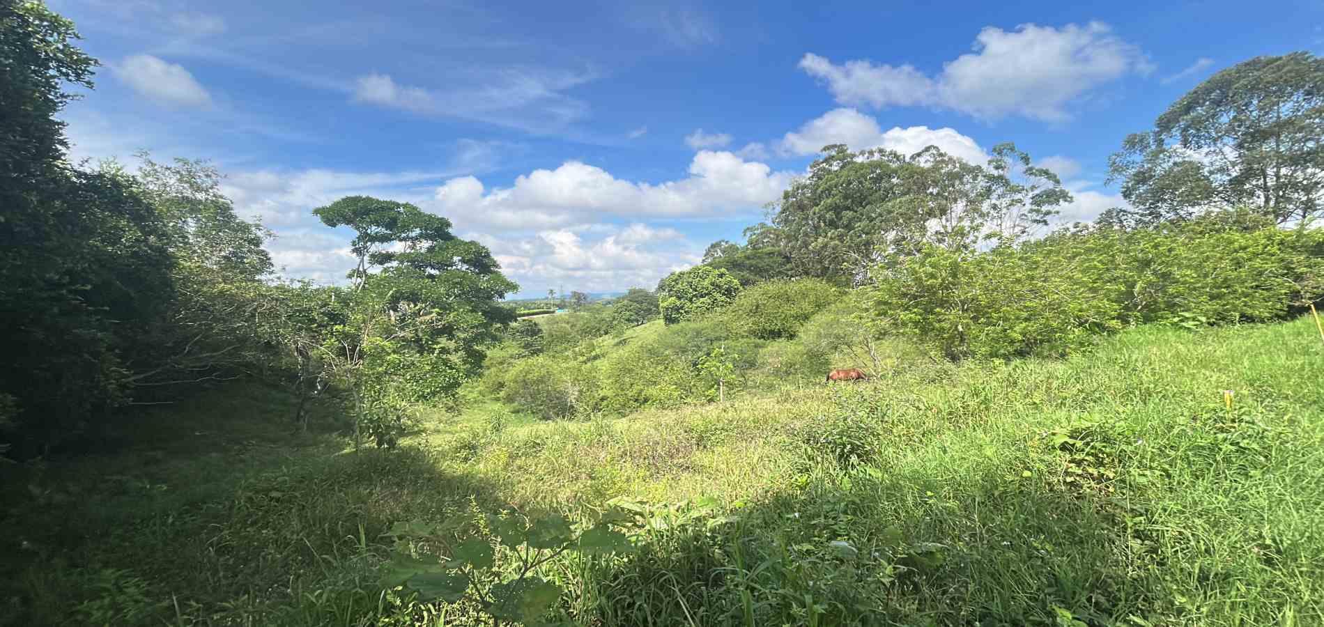 Foto de Lote / terreno para Venta en Via alcala, Pereira - 279066756