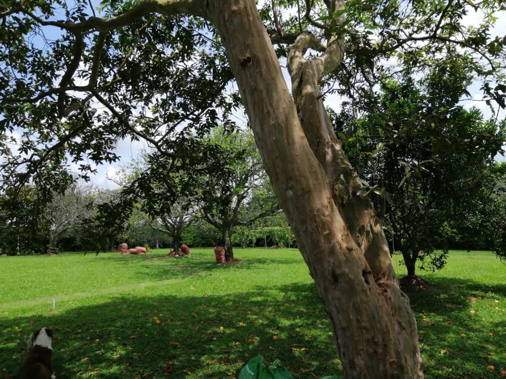 Foto de Lote / terreno en Venta en Cerritos, Pereira - 7 - 279025576