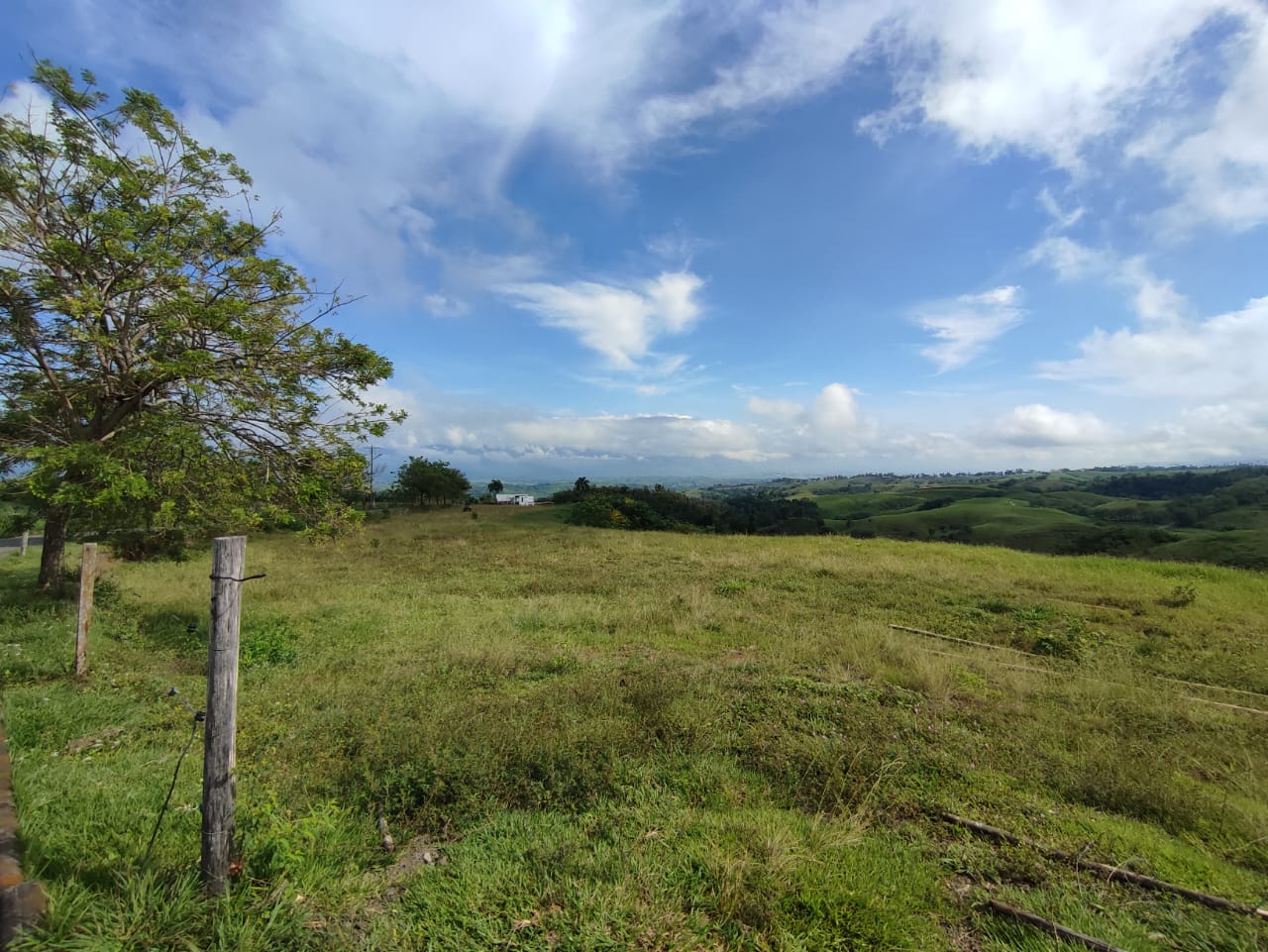 Foto de Lote / terreno en Venta en Cerritos, Pereira - 6 - 279063214