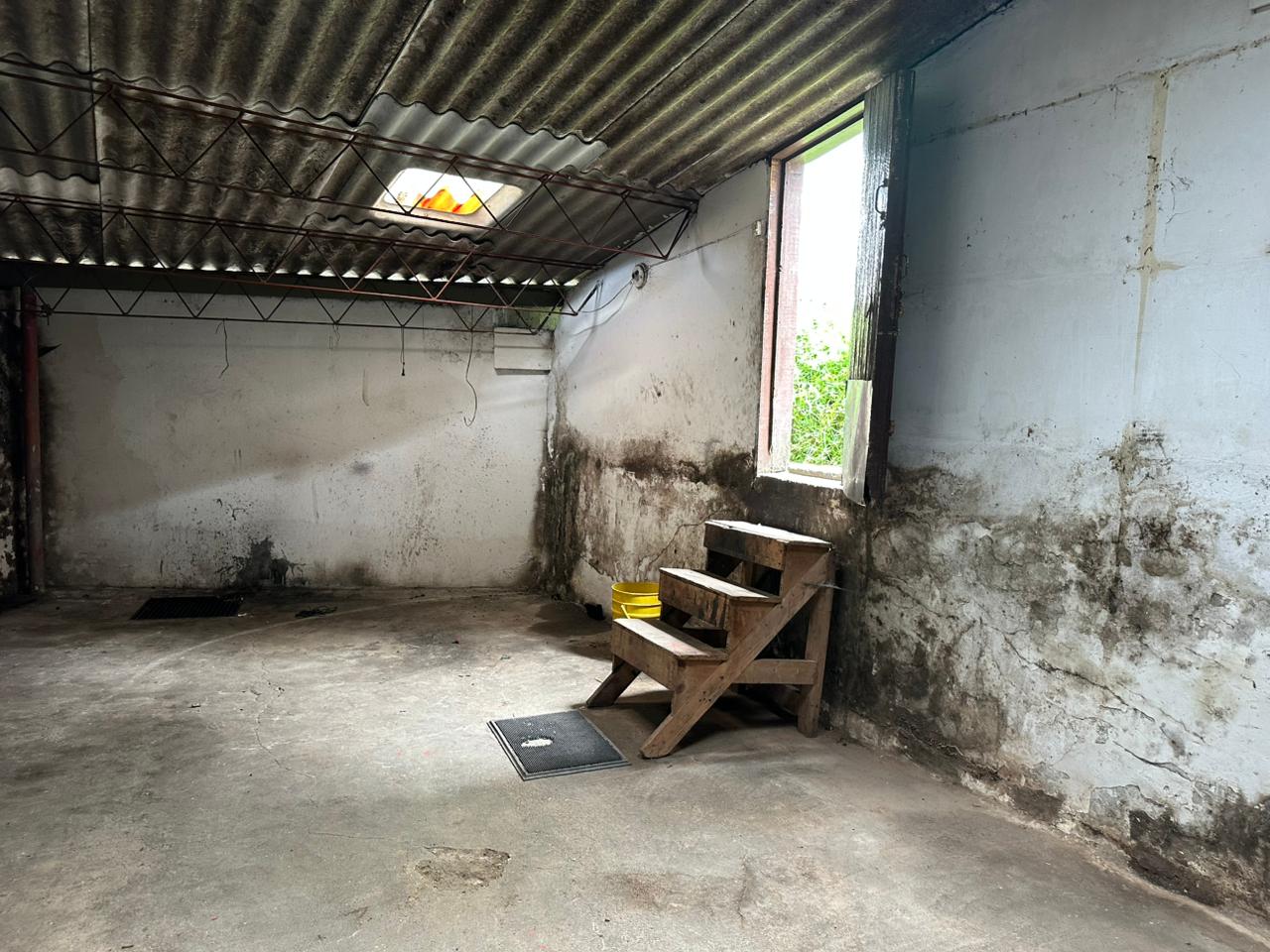 Foto de Local en Arriendo en Palogrande, Manizales - 11 - 279067864