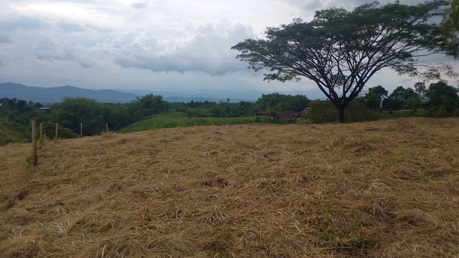 Foto de Lote / terreno para Venta en Armenia, Armenia  - 279067122