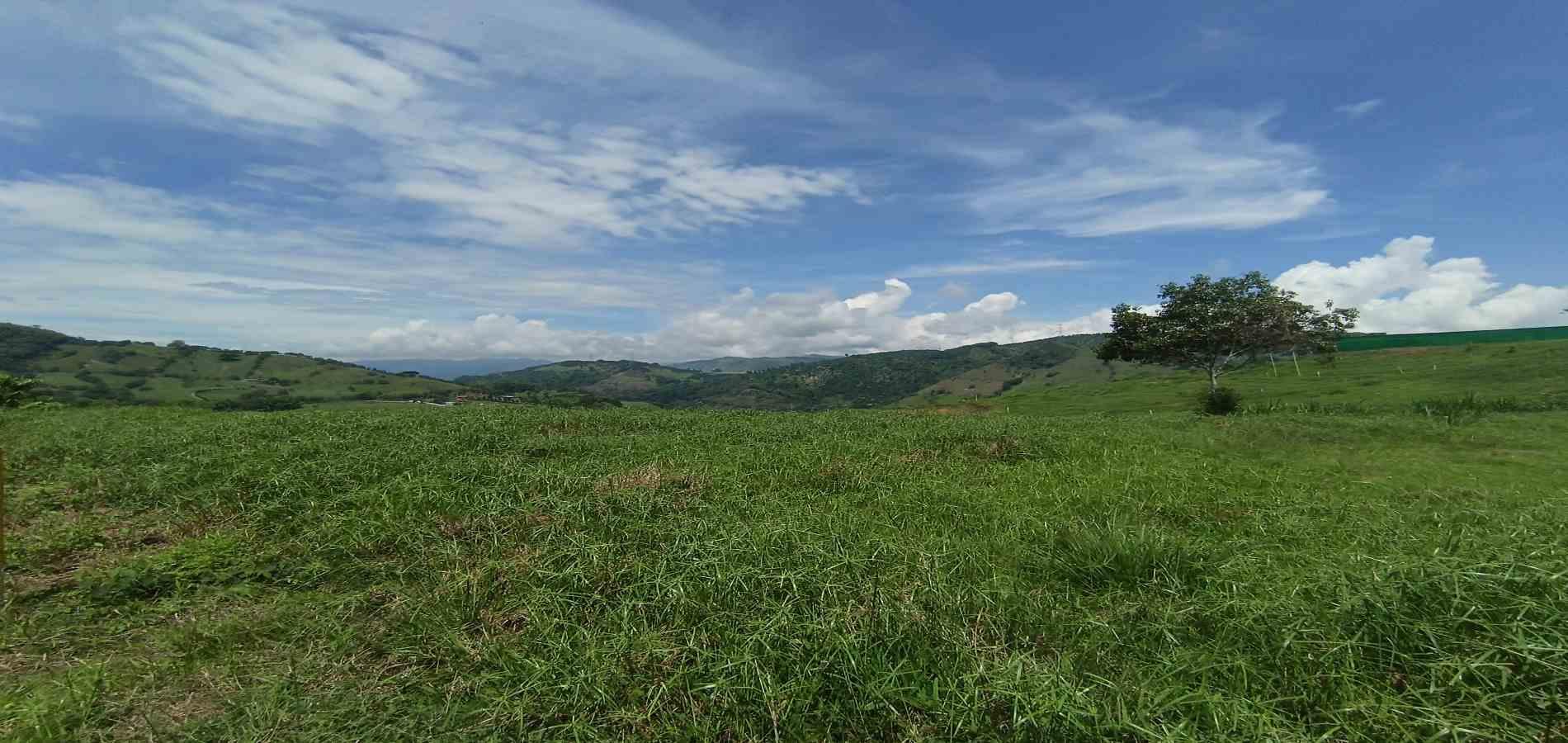 Foto de Lote / terreno en Venta en Vereda santagueda, Palestina - 3 - 279064609