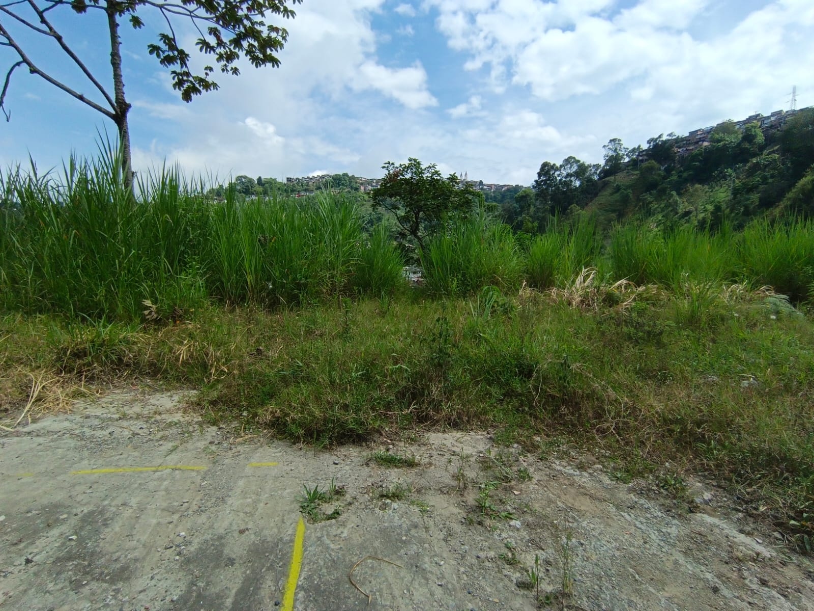 Foto de Lote / terreno en Venta en Panamericana, Manizales - 5 - 279063718