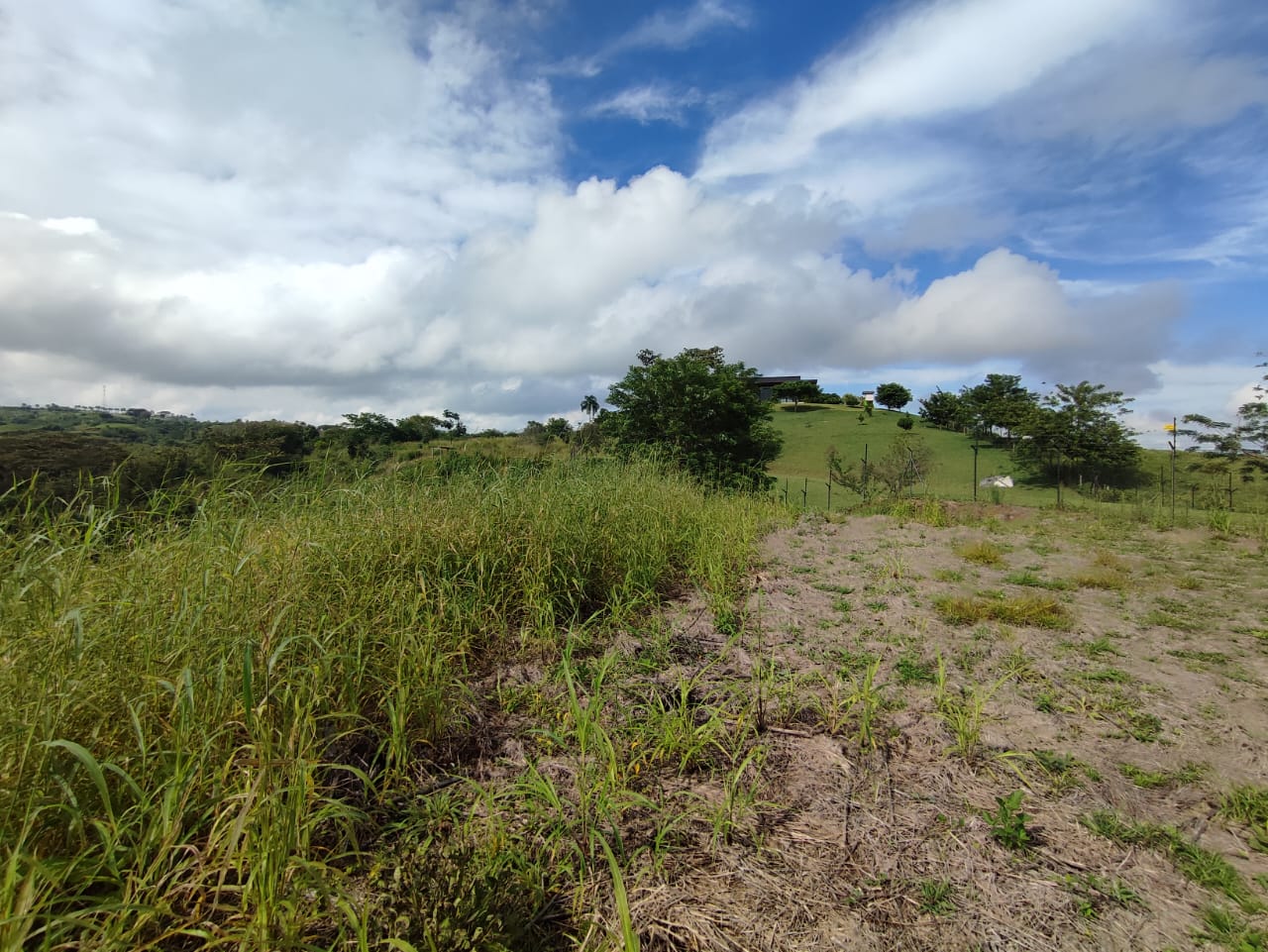 Foto de Lote / terreno en Venta en Centro, Pereira - 1 - 279063218