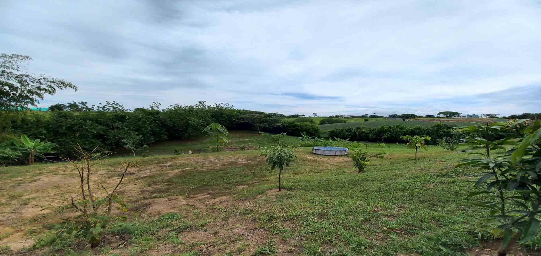 Foto de Casa en Venta en Cerritos, Pereira - 7 - 279067818