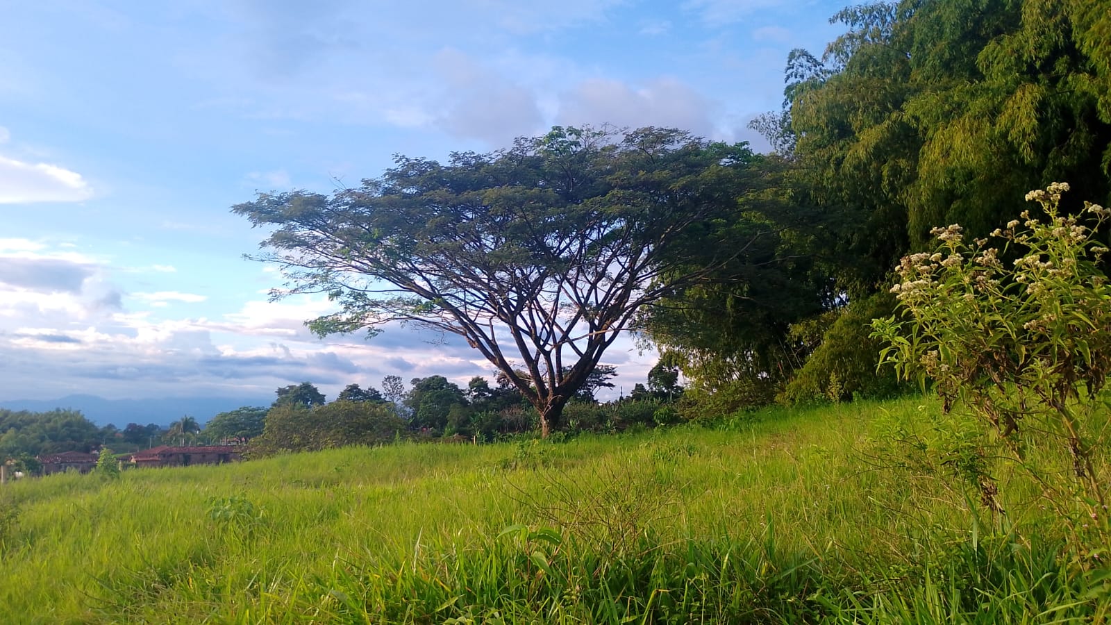Foto de Lote / terreno en Venta en Filandia, Filandia - 15 - 279066855