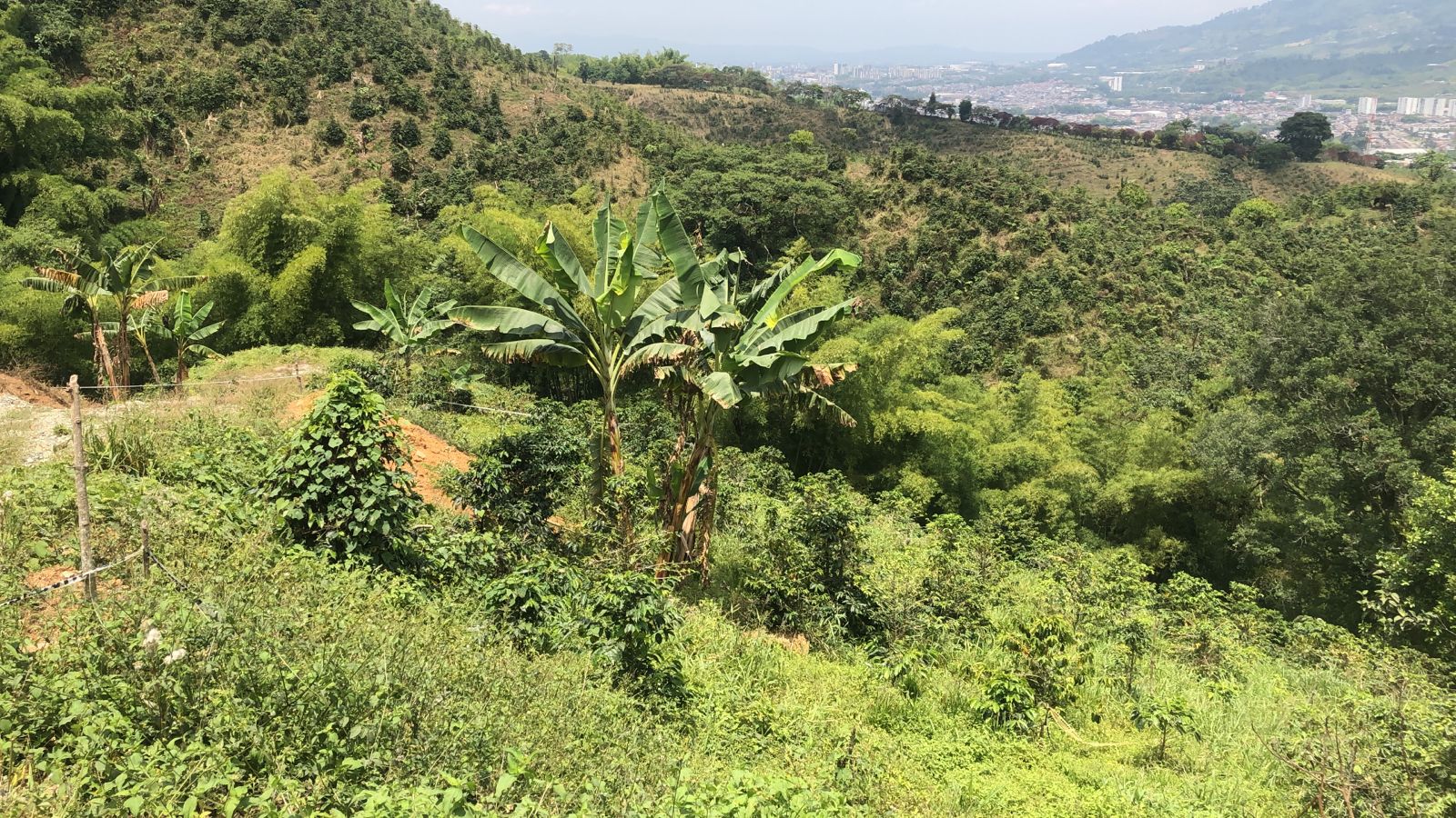 Foto de Lote / terreno en Venta en Dosquebradas, Dosquebradas - 19 - 279053269