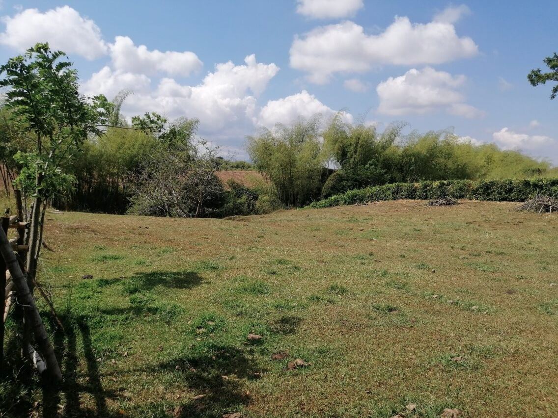 Foto de Lote / terreno en Venta en Cerritos, Pereira - 3 - 2791024501