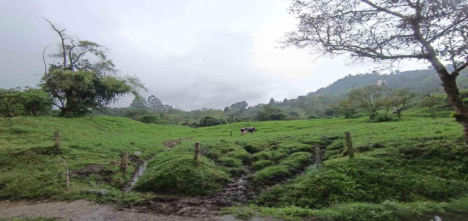 Foto de Finca en Venta en La francia, Manizales - 13 - 279066742