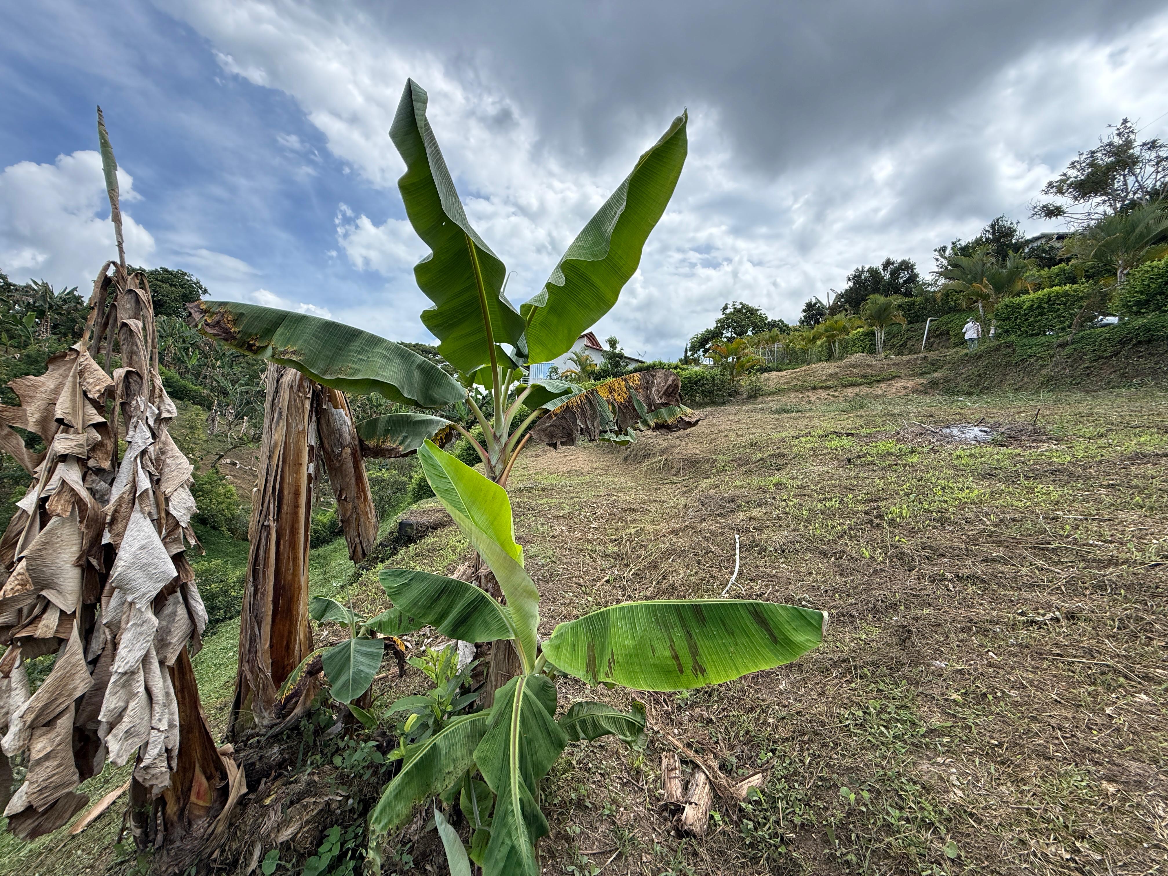 Foto de Lote / terreno en Venta en Altagracia, Pereira - 4 - 279063993