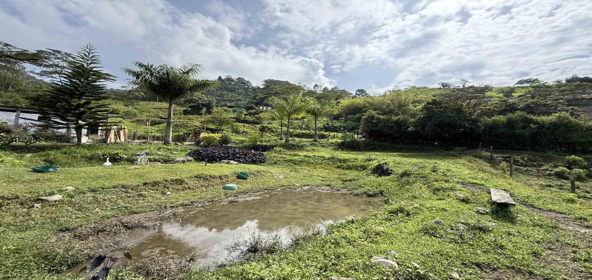 Foto de Finca en Venta en Agua azul, Dosquebradas - 45 - 279063271
