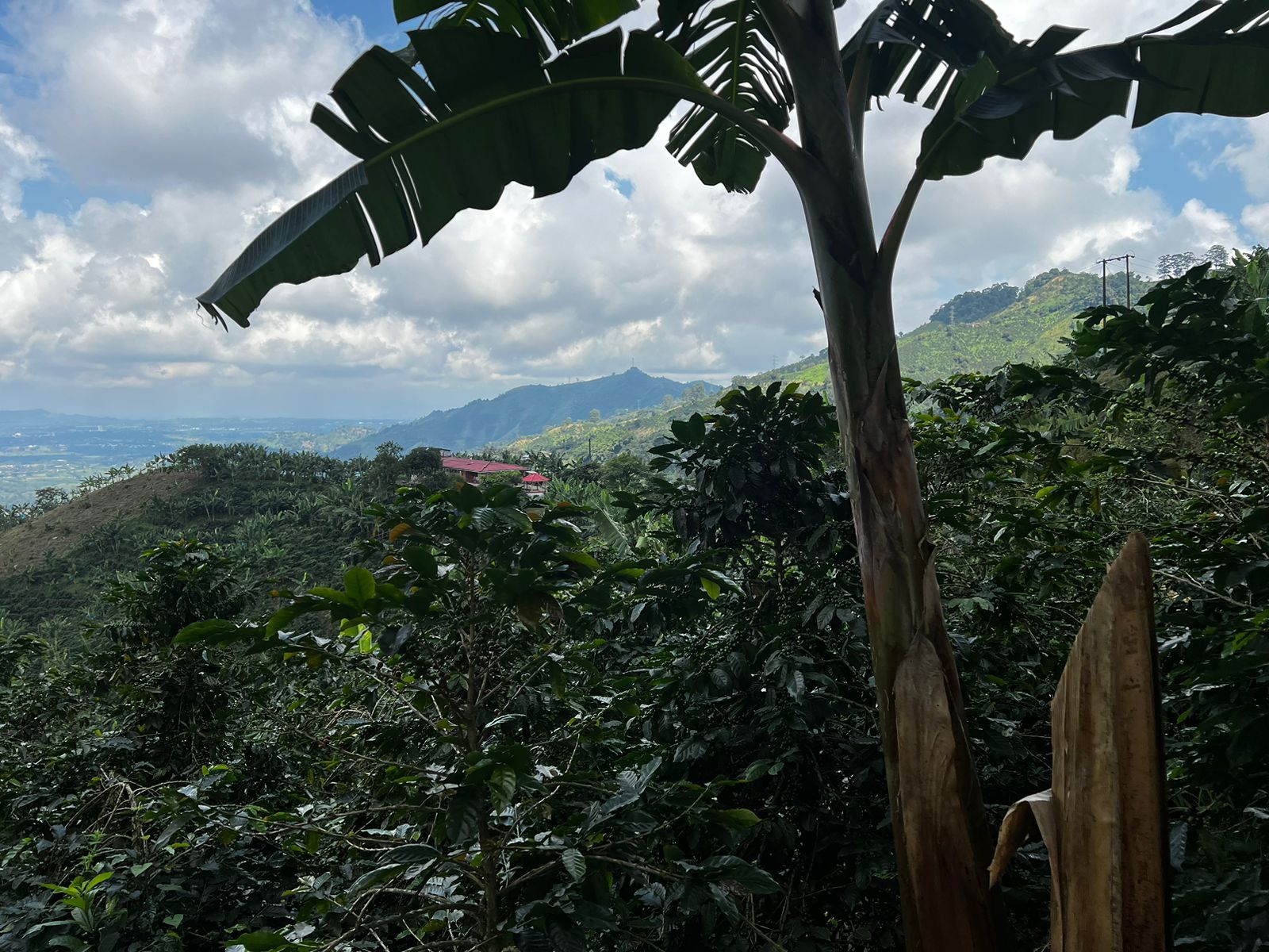 Foto de Finca en Venta en San vicente, Pereira - 7 - 279057869