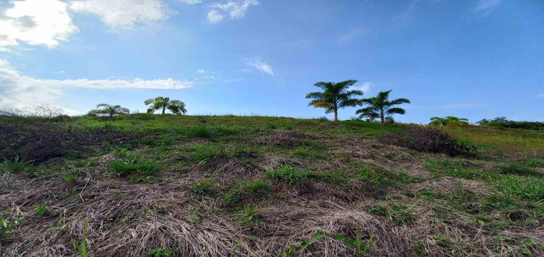 Foto de Lote / terreno en Venta en Cerritos, Pereira - 10 - 279067405