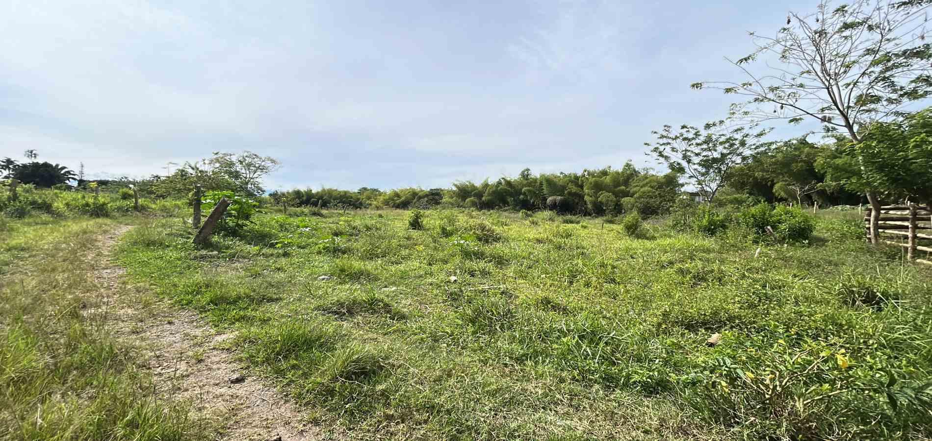 Foto de Lote / terreno en Venta en Cerritos, Pereira - 1 - 279068090