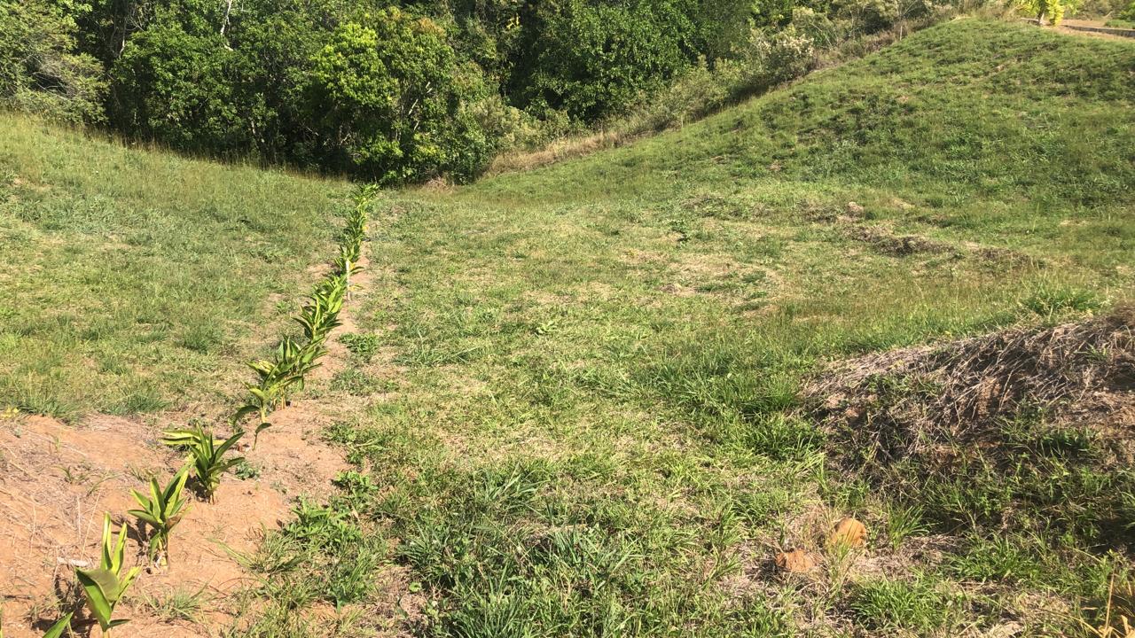 Foto de Lote / terreno en Venta en Cerritos, Pereira - 15 - 279055628