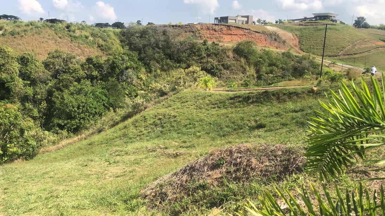 Foto de Lote / terreno en Venta en Cerritos, Pereira - 11 - 279055628
