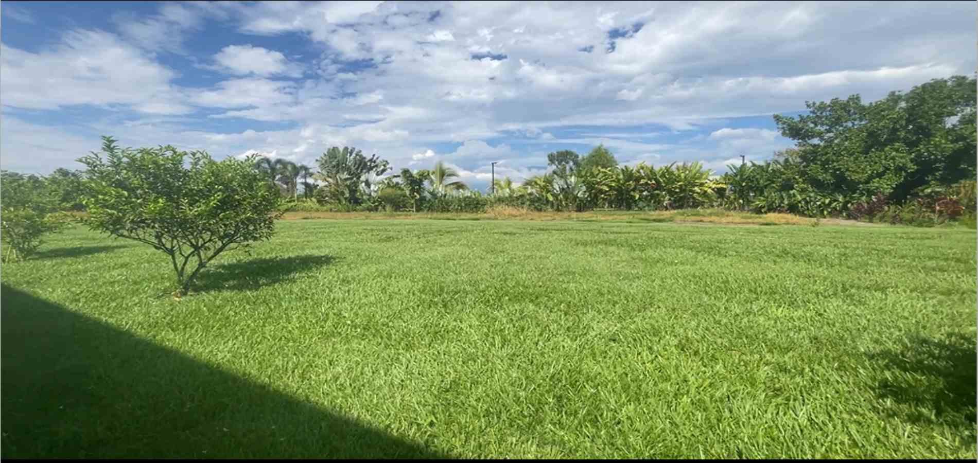 Foto de Casa campestre en Venta en Via la tebaida  la paila km 4, La tebaida - 17 - 279062666