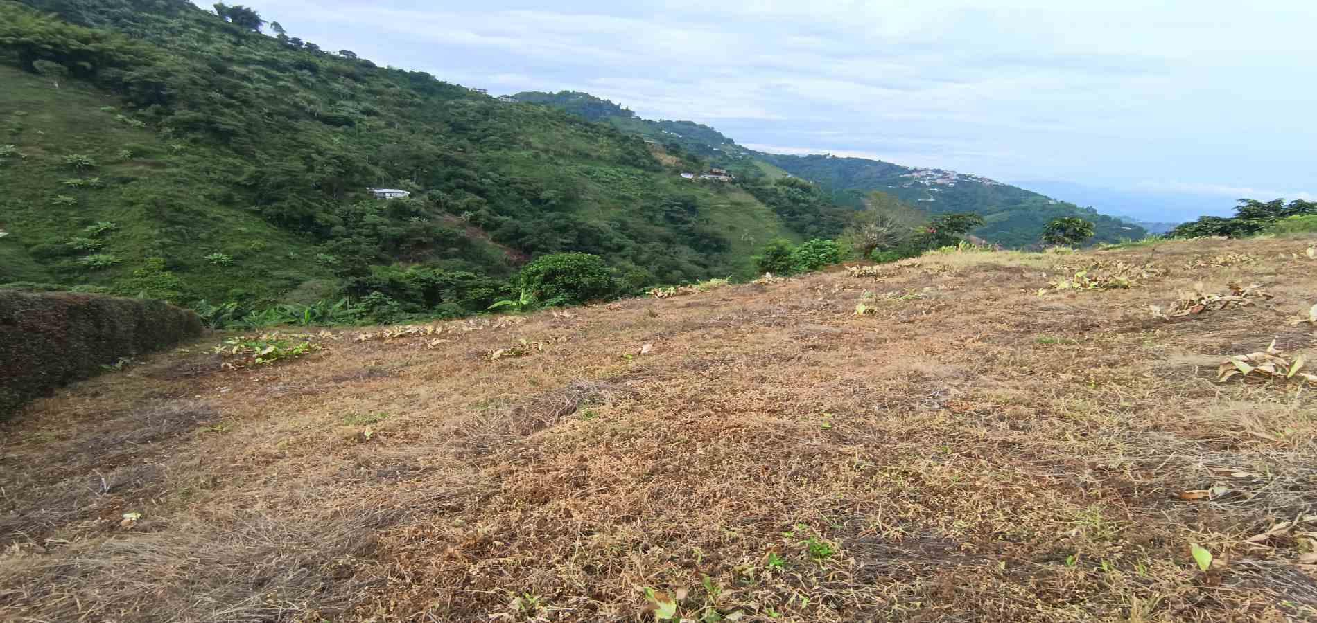 Foto de Lote / terreno en Arriendo en La linda, Manizales - 8 - 279069062