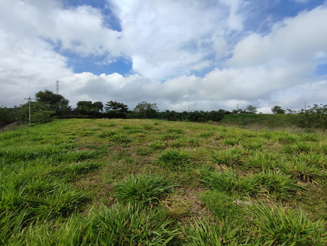 Foto de Lote / terreno en Venta en Cerritos, Pereira - 5 - 279063214