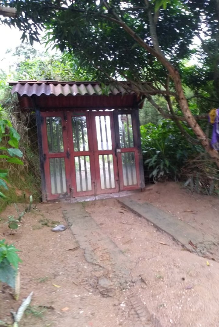 Foto de Lote / terreno en Venta en Vereda minitas , Manizales - 8 - 279025810