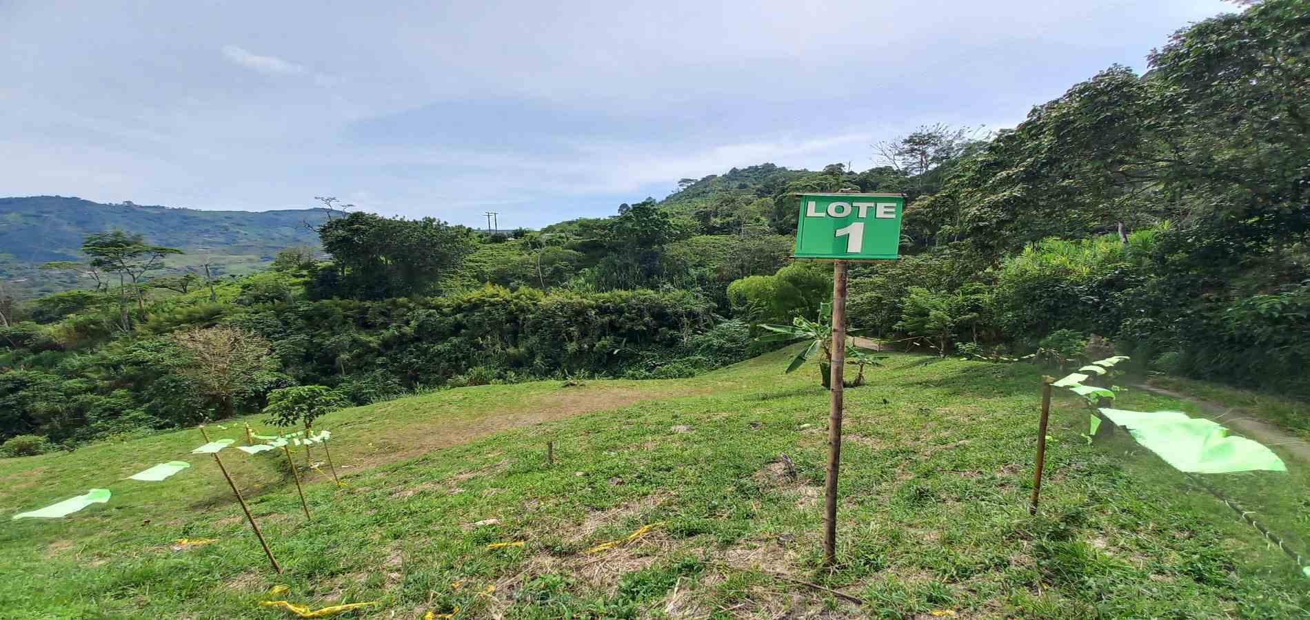 Foto de Lote / terreno en Venta en Combia, Pereira - 14 - 279069588