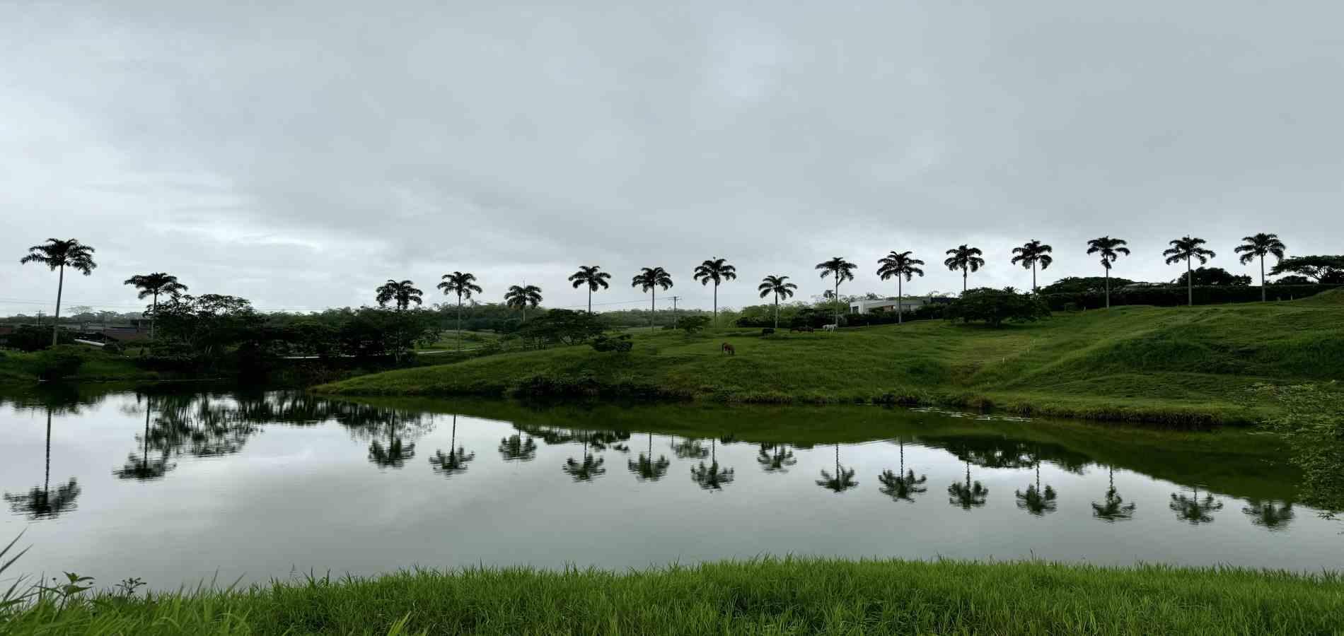 Foto de Lote / terreno en Venta en Cerritos, Pereira - 2 - 279059921
