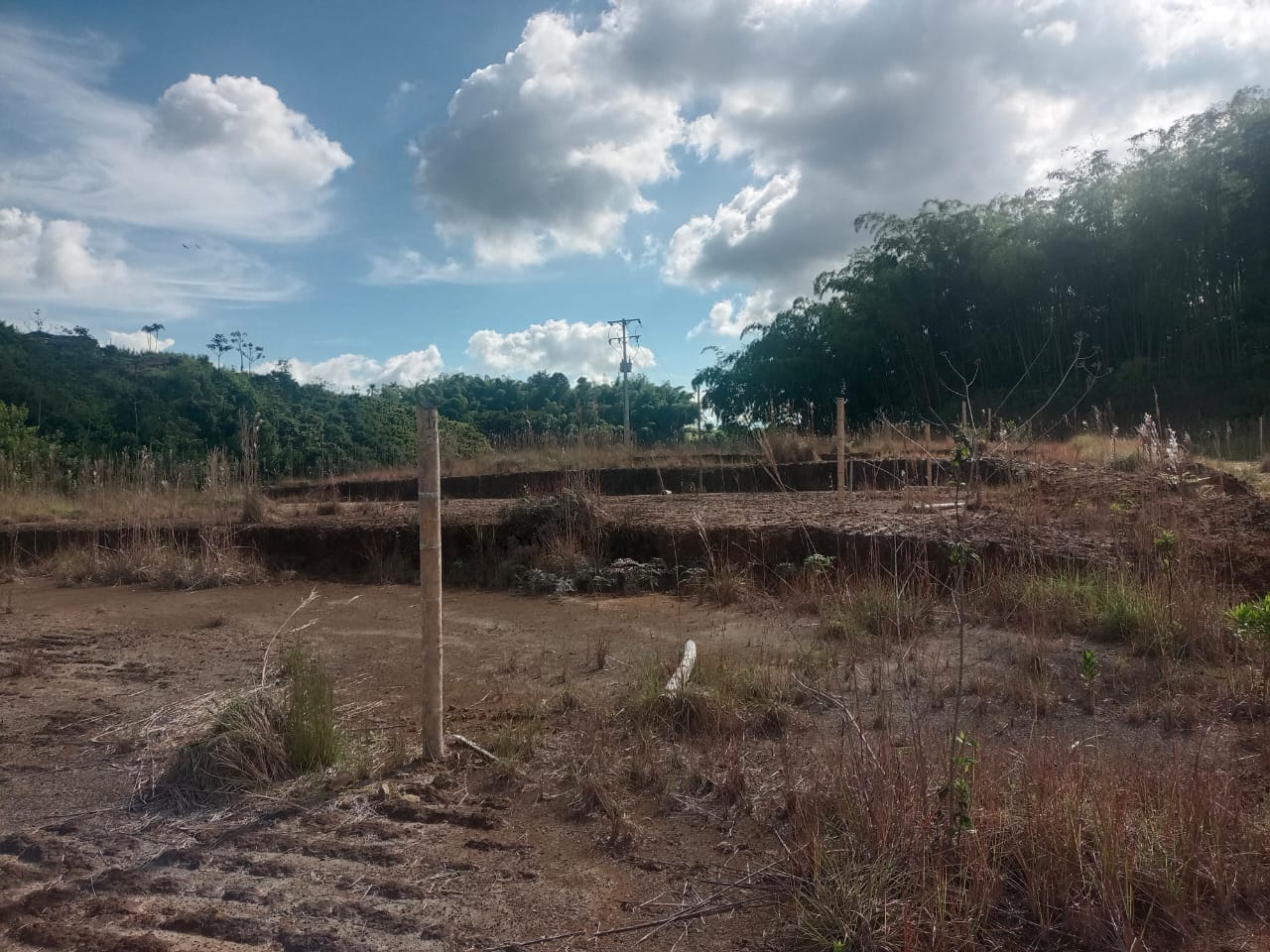 Foto de Lote / terreno en Venta en Via armenia, Pereira - 8 - 279052343