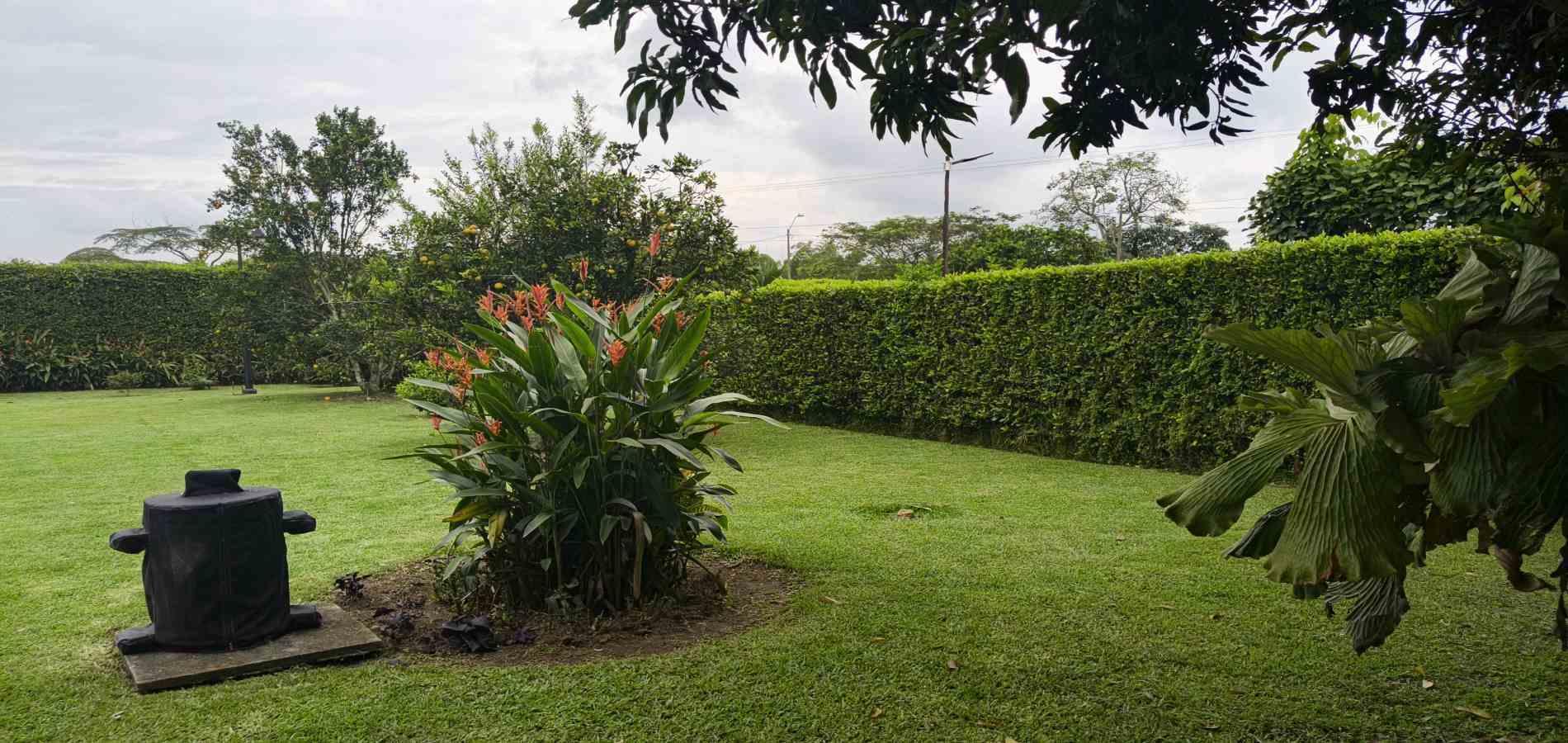 Foto de Casa en Arriendo en El caimo, Armenia  - 38 - 279066662